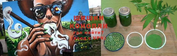 гашик Абаза
