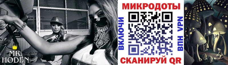 Галлюциногенные грибы Magic Shrooms  купить закладку  Кимовск 