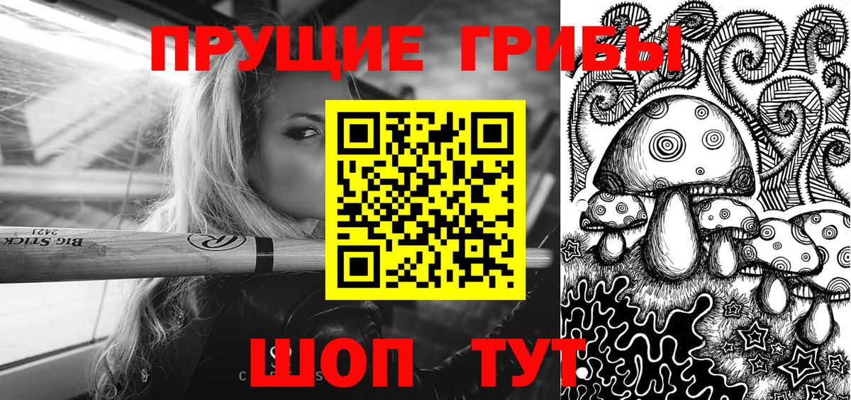 Псилоцибиновые грибы MAGIC MUSHROOMS  Вход с VPN  Кимовск  Псилоцибиновые грибы Psilocybine cubensis 
